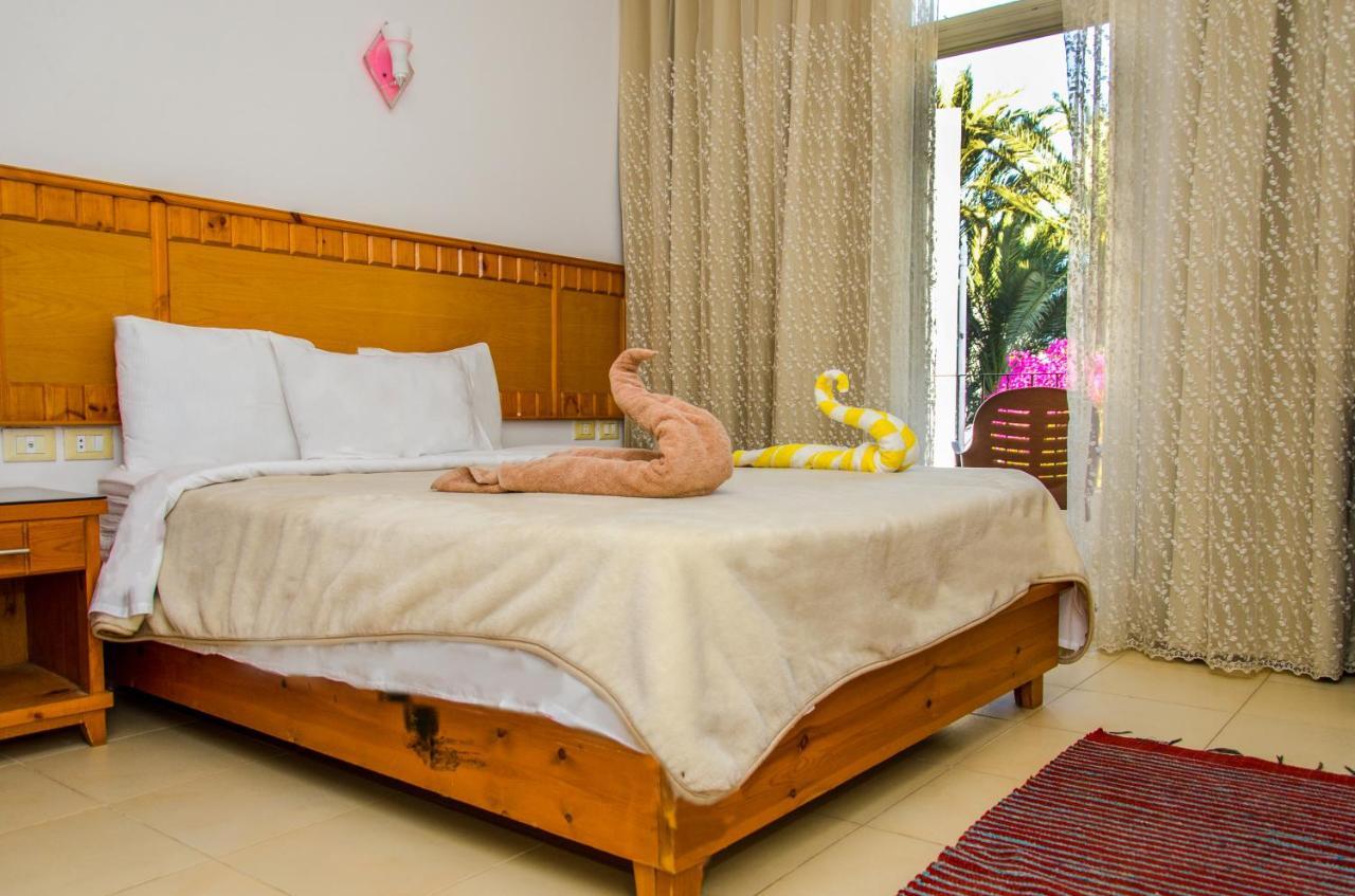 New Yalla Hotel 다합 외부 사진