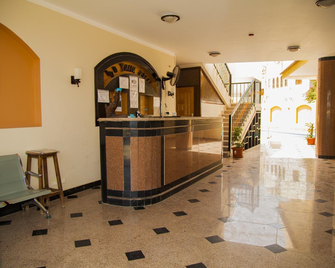 New Yalla Hotel 다합 외부 사진
