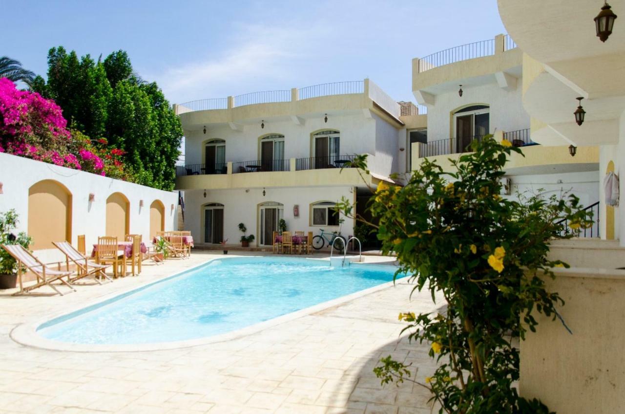New Yalla Hotel 다합 외부 사진